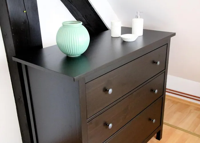 旅馆 Samostan Mekinje *